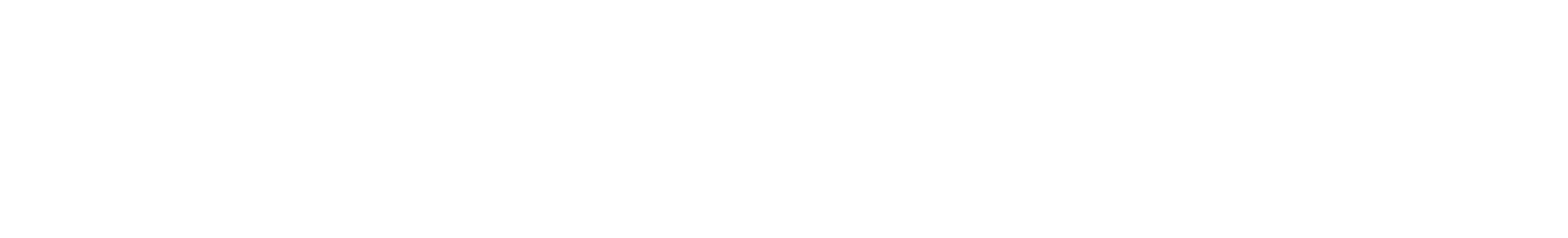SOLARIA LICENSES MANAGER logo